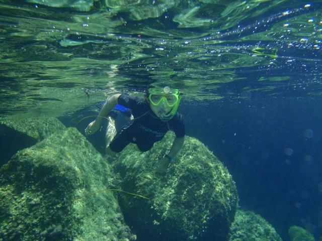 En Apnée Entre les Rochers